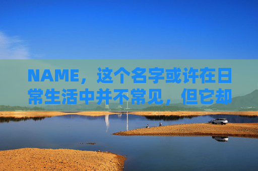 NAME，这个名字或许在日常生活中并不常见，但它却在某些领域里扮演着重要的角色。今天，让我们一起来探索这个名字背后的故事和意义