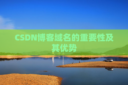 CSDN博客域名的重要性及其优势